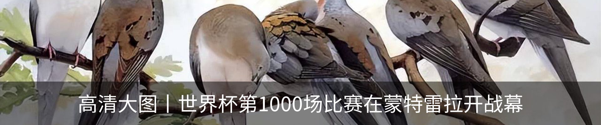 新闻动态